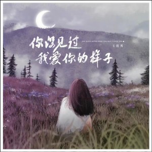收聽王優秀的你沒見過我愛你的樣子 (女版)歌詞歌曲