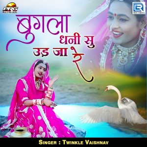 Album Bugla Dhani Su Ud Ja Re from Twinkal Vaishnav