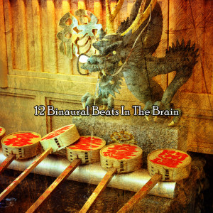 อัลบัม 12 Binaural Beats in the Brain ศิลปิน Binaural Beats Sleep