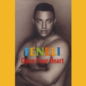 ดาวน์โหลดและฟังเพลง Open Your Heart (Funky Melody Mix) พร้อมเนื้อเพลงจาก Feneli