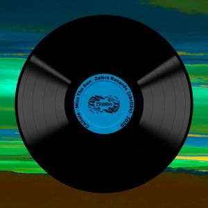 收聽CAlinie的Miss the Sun歌詞歌曲