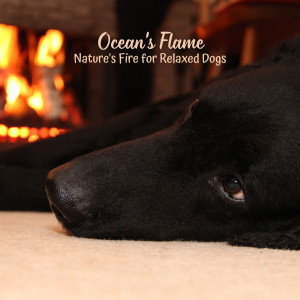 Calming For Dogs的专辑Ocean's Flame: Nature's Fire for Relaxed Dogs