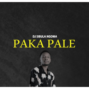 Listen to Paka Pale song with lyrics from dj sibula ngoma