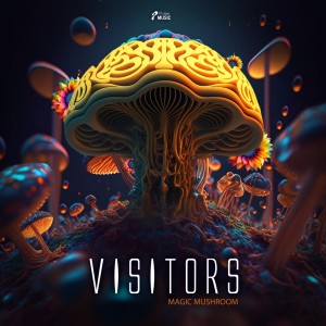 อัลบัม Magic Mushroom ศิลปิน Visitors