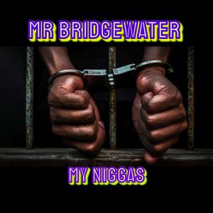 Album MY NIGGAS oleh MR BRIDGEWATER