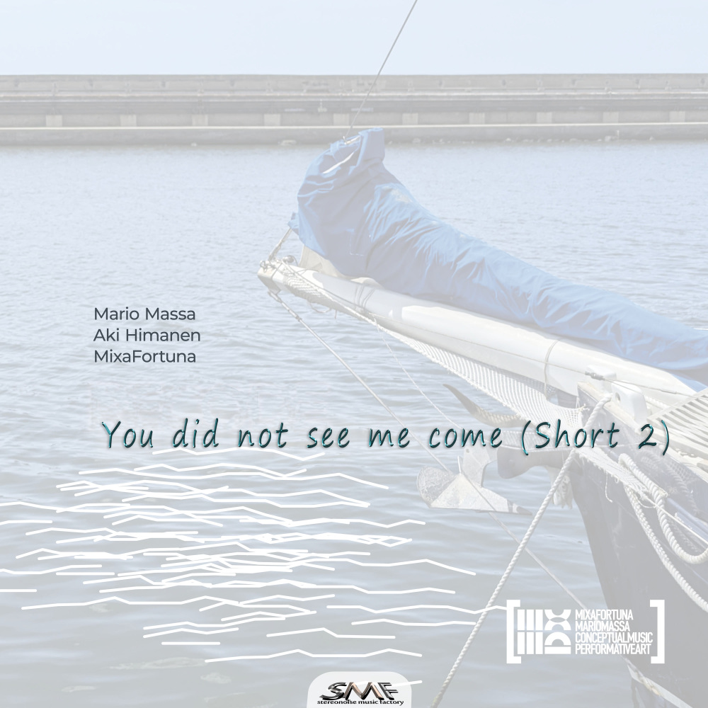 You Did Not See Me Come (short 2)