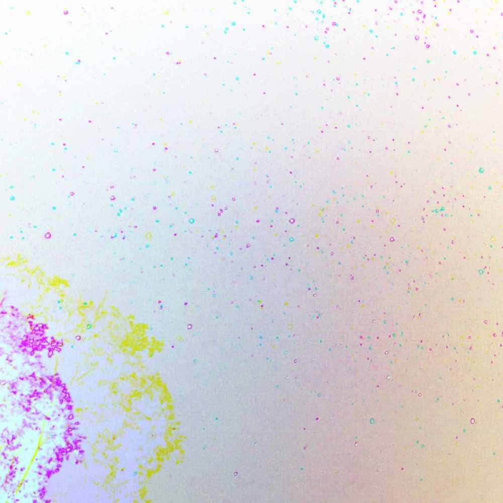 Bubbly Ambiance for Soft Sunday