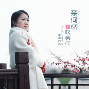 Album 奈何桥上叹奈何 (DJ版) from 雨中百合