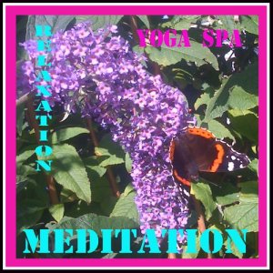 收聽The Dreams的Shining Yoga Energy歌詞歌曲