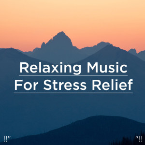 Album Relaxing Music For Stress Relief oleh Nature Sounds Nature Music