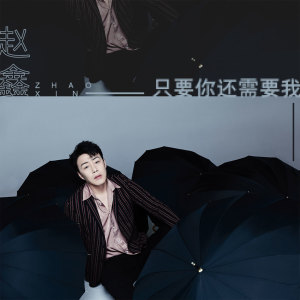 Listen to 只要你还需要我 song with lyrics from 赵鑫