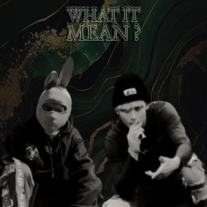 อัลบัม WHAT IT MEAN? (feat. larkspurr) [Explicit] ศิลปิน Perk