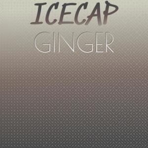 Album Icecap Ginger from Various
