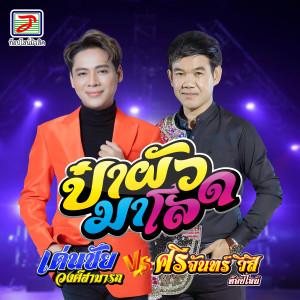 Listen to ป๋าผัวมาโลด song with lyrics from เด่นชัย วงศ์สามารถ