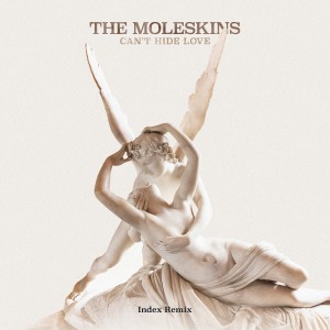 The Moleskins的專輯Can't Hide Love (Index Remix)