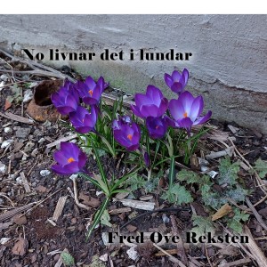 ดาวน์โหลดและฟังเพลง No livnar det i lundar พร้อมเนื้อเพลงจาก Fred Ove Reksten