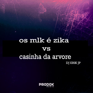 DJ Erik JP的专辑Os Mlk É Zika Vs Casinha da Arvore (Explicit)