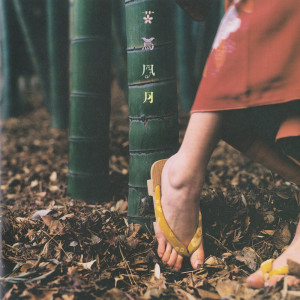 อัลบัม Kacho-Hugetsu ศิลปิน Spitz