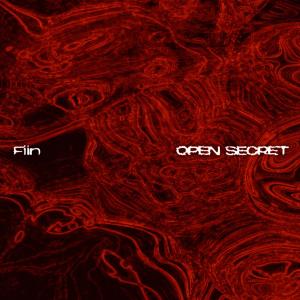 FIIN的專輯Open Secret