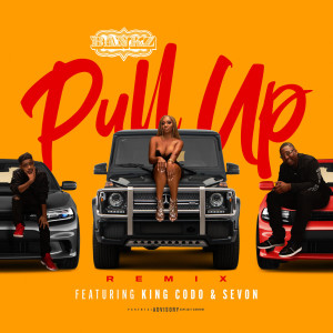 Dengarkan Pull up (Remix) (Explicit) (Remix|Explicit) lagu dari Bankz dengan lirik