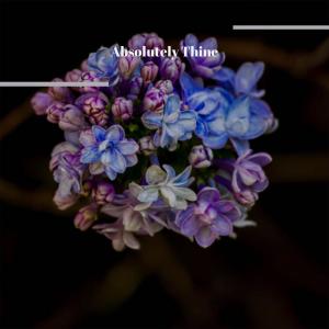 Various的专辑Absolutely Thine