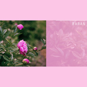 바란的专辑너의 새벽