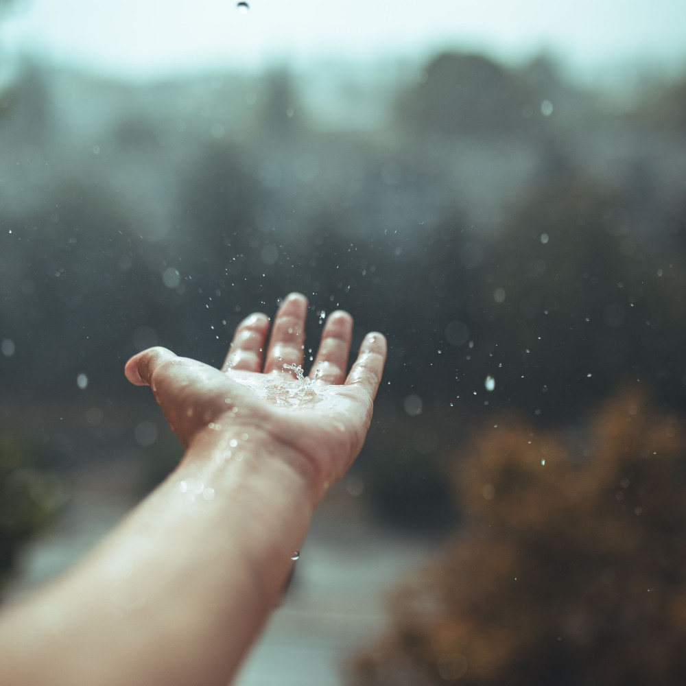 Harmonious Raindrops in Ethereal Calm