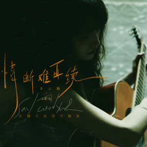 Album 情断难再续 (DJ版) from 云音阁