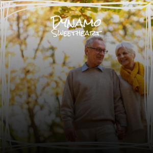 Listen to Any Festivals song with lyrics from Hala Maan