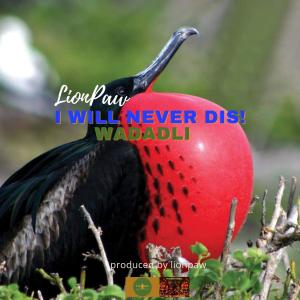 收聽Lionpaw的I Will Never Dis Wadadli歌詞歌曲