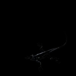 Listen to LESSGO (Explicit) song with lyrics from Kout