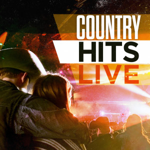 ดาวน์โหลดและฟังเพลง Kick It In The Sticks (Live at Red Rocks) พร้อมเนื้อเพลงจาก Brantley Gilbert