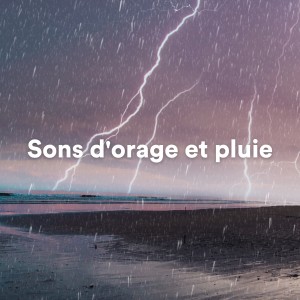 Sons d'orage et pluie dari Sons De La Nature
