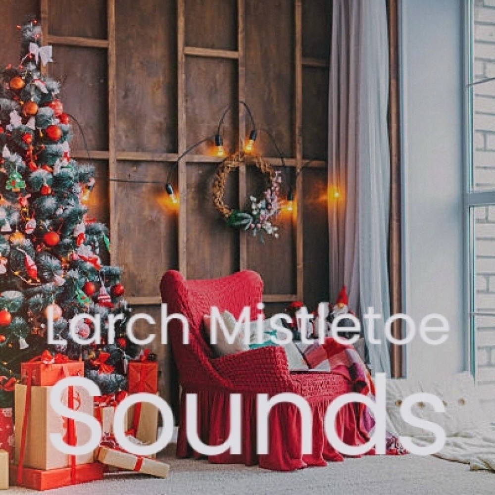 Merry Christmas Everybody