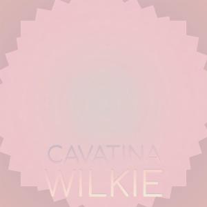 Listen to Cavatina Wilkie song with lyrics from Chady Laider