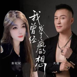 Album 我曾经发了疯的想 from 彭妃妃