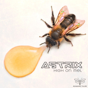 Listen to Genetic Lottery (Original Mix) song with lyrics from Astrix