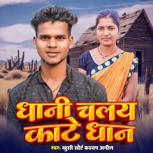 Listen to Dhani Chalay Kate Dhanwa song with lyrics from Khushi Shorts