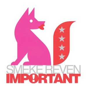 ดาวน์โหลดและฟังเพลง Important (Explicit) พร้อมเนื้อเพลงจาก Smeke Reven
