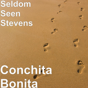 收聽Seldom Seen Stevens的November the Fourth歌詞歌曲