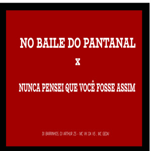 Album NO BAILE DO PANTANAL x NUNCA PENSEI QUE VC FOSSE (Explicit) oleh DJ Barrinhos