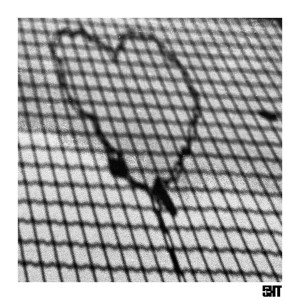 Album Sin Ti from d1aZ