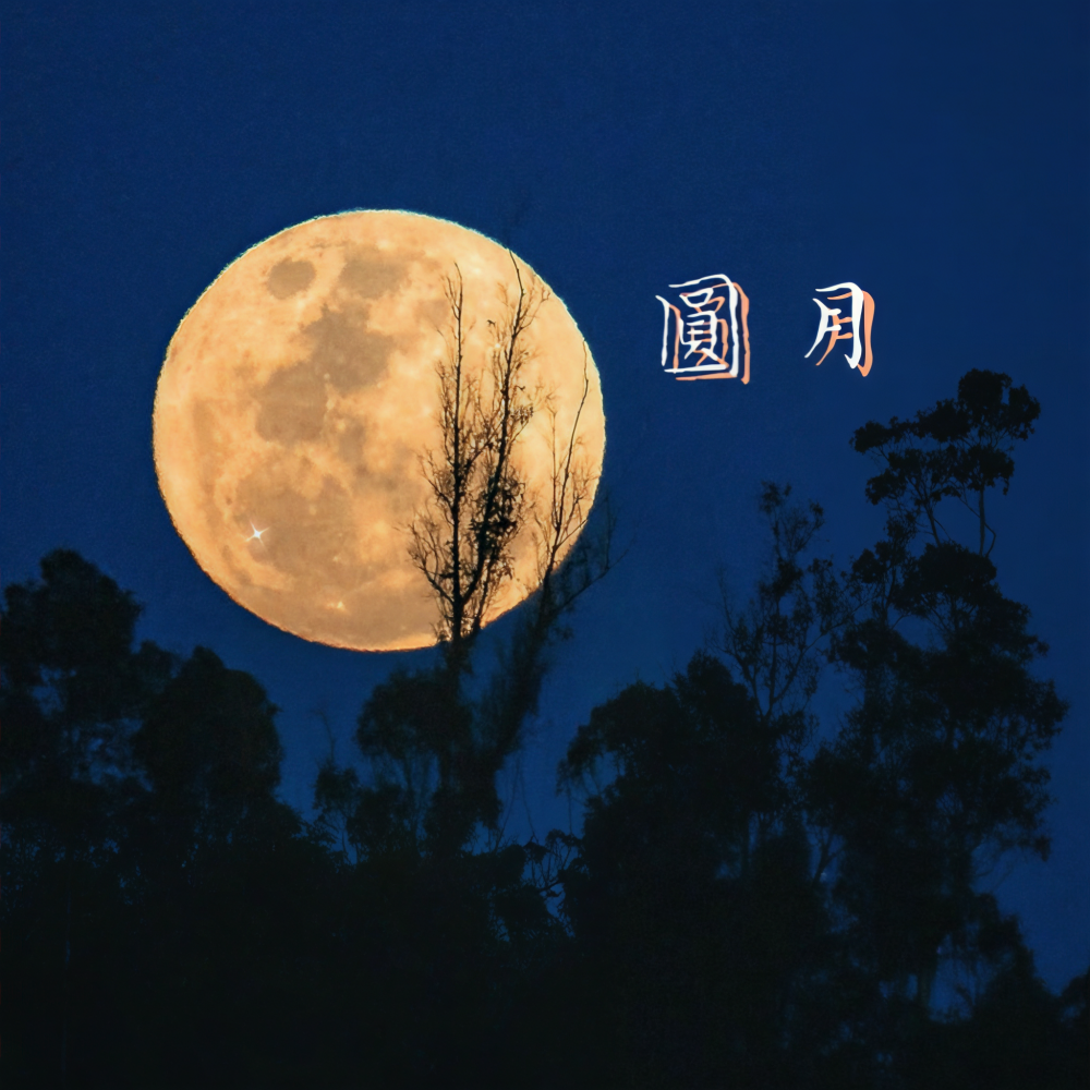 念圆月 (完整版)