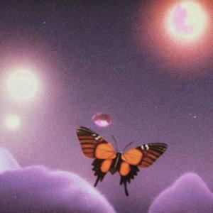 Lulo的專輯i had a dream, i was a butterfly