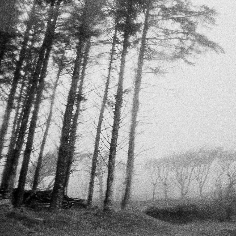 Movement Four (Staring At Lakes)