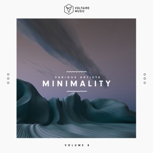 Album Voltaire Music Pres. Minimality, Vol. 8 from Various Artists