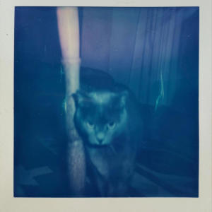 收聽Veslemes的Αγκάθι歌詞歌曲