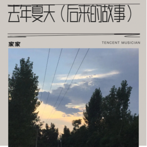 Album 去年夏天（后来的故事） from Jia Jia (家家)