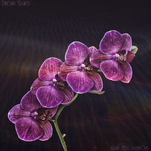 Album Stay (feat. Yaarrohs) oleh Dimond Saints