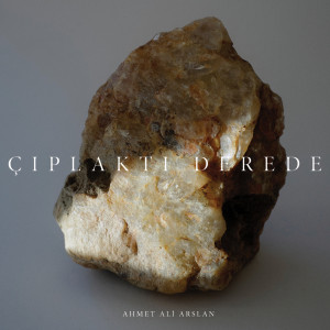 ดาวน์โหลดและฟังเพลง Çıplaktı Derede พร้อมเนื้อเพลงจาก Ahmet Ali Arslan